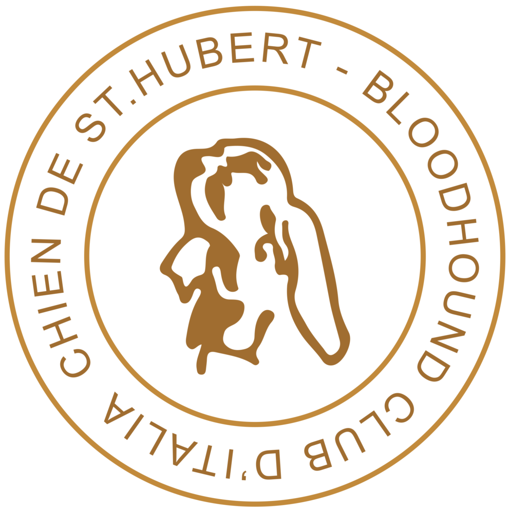 Logo Chien de St. Hubert – Bloodhound Club d’Italia